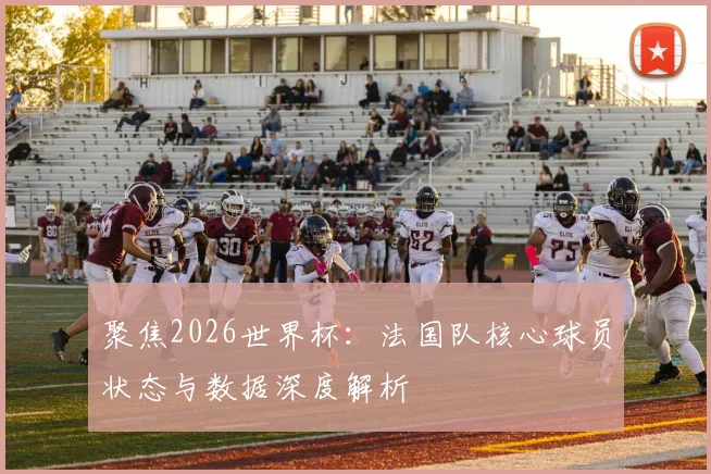 聚焦2026世界杯：法国队核心球员状态与数据深度解析