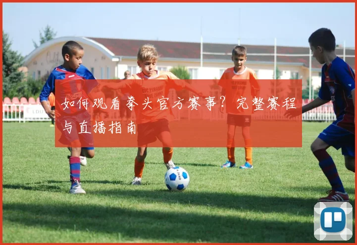 如何观看拳头官方赛事？完整赛程与直播指南