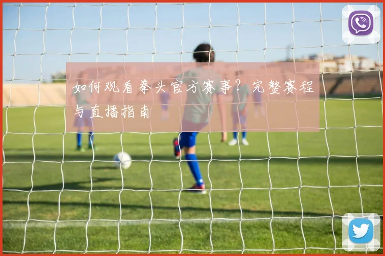 如何观看拳头官方赛事？完整赛程与直播指南