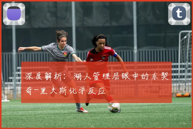 深度解析:湖人管理层眼中的东契奇-里夫斯化学反应